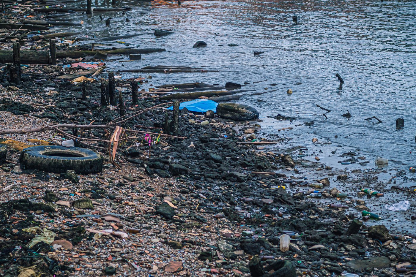 Debris washed up on a polluted shoreline